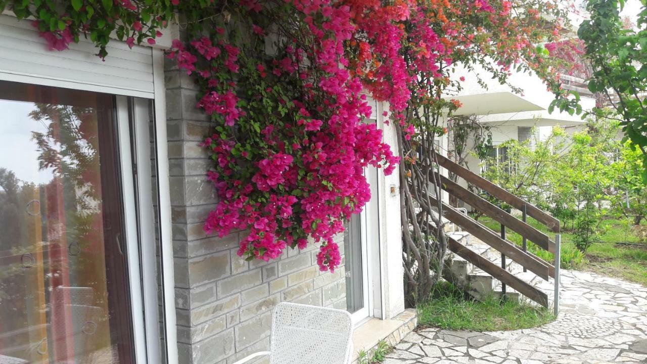Olives Residence Dhërmi Exterior foto