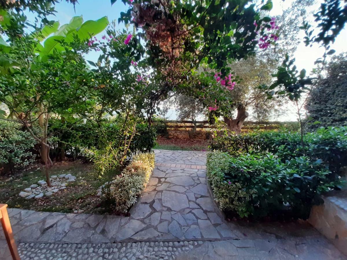 Olives Residence Dhërmi Exterior foto
